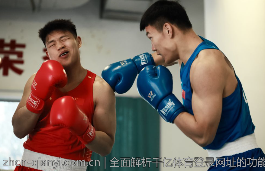 全面解析千亿体育登录网址的功能